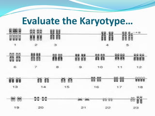 Evaluate the Karyotype…
 