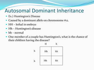 Autosomal Dominant Inheritance
 Ex.) Huntington’s Disease
 Caused by a dominant allele on chromosome #12.
 HH – lethal in embryo
 Hh – Huntington’s disease
 hh – normal
 One member of a couple has Huntington’s, what is the chance of
their children having the disease?
Hh hh
Hh hh
H h
h
h
 