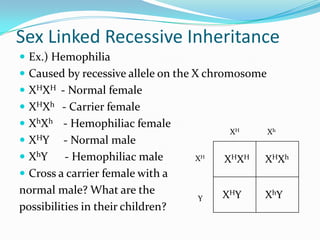 Sex Linked Recessive Inheritance
 Ex.) Hemophilia
 Caused by recessive allele on the X chromosome
 XHXH - Normal female
 XHXh - Carrier female
 XhXh - Hemophiliac female
 XHY - Normal male
 XhY - Hemophiliac male
 Cross a carrier female with a
normal male? What are the
possibilities in their children?
XHXH XHXh
XHY XhY
XH Xh
XH
Y
 