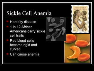 Sickle Cell Anemia







Heredity disease
1 in 12 African
Americans carry sickle
cell traits
Red blood cells
become rigid and
curved
Can cause anemia

 