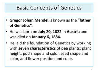 Basic Concepts of Genetics
• Gregor Johan Mendel is known as the “father
of Genetics”.
• He was born on July 20, 1822 in Austria and
was died on January 6, 1884.
• He laid the foundation of Genetics by working
with seven characteristics of pea plants: plant
height, pod shape and color, seed shape and
color, and flower position and color.
14
 