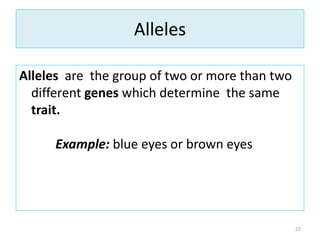Alleles
Alleles are the group of two or more than two
different genes which determine the same
trait.
Example: blue eyes or brown eyes
22
 