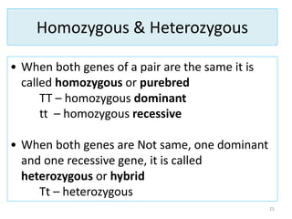 Homozygous & Heterozygous
25
• When both genes of a pair are the same it is
called homozygous or purebred
TT – homozygous dominant
tt – homozygous recessive
• When both genes are Not same, one dominant
and one recessive gene, it is called
heterozygous or hybrid
Tt – heterozygous
 