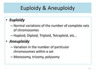 Euploidy & Aneuploidy
• Euploidy
– Normal variations of the number of complete sets
of chromosomes
– Haploid, Diploid, Triploid, Tetraploid, etc…
• Aneuploidy
– Variation in the number of particular
chromosomes within a set
– Monosomy, trisomy, polysomy
39
 