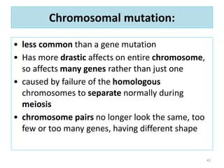 Chromosomal mutation:
• less common than a gene mutation
• Has more drastic affects on entire chromosome,
so affects many genes rather than just one
• caused by failure of the homologous
chromosomes to separate normally during
meiosis
• chromosome pairs no longer look the same, too
few or too many genes, having different shape
42
 