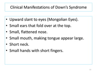 Clinical Manifestations of Down’s Syndrome
• Upward slant to eyes (Mongolian Eyes).
• Small ears that fold over at the top.
• Small, flattened nose.
• Small mouth, making tongue appear large.
• Short neck.
• Small hands with short fingers.
57
 