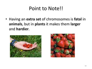 Point to Note!!
• Having an extra set of chromosomes is fatal in
animals, but in plants it makes them larger
and hardier.
68
 