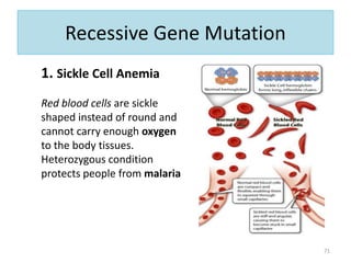 Recessive Gene Mutation
1. Sickle Cell Anemia
Red blood cells are sickle
shaped instead of round and
cannot carry enough oxygen
to the body tissues.
Heterozygous condition
protects people from malaria
71
 