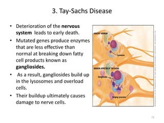 3. Tay-Sachs Disease
• Deterioration of the nervous
system leads to early death.
• Mutated genes produce enzymes
that are less effective than
normal at breaking down fatty
cell products known as
gangliosides.
• As a result, gangliosides build up
in the lysosomes and overload
cells.
• Their buildup ultimately causes
damage to nerve cells.
73
 