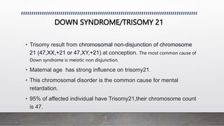 DOWN SYNDROME/TRISOMY 21
• Trisomy result from chromosomal non-disjunction of chromosome
21 (47,XX,+21 or 47,XY,+21) at conception. The most common cause of
Down syndrome is meiotic non disjunction.
• Maternal age has strong influence on trisomy21.
• This chromosomal disorder is the common cause for mental
retardation.
• 95% of affected individual have Trisomy21,their chromosome count
is 47.
 