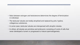 • Ratio between estrogen and testosterone determines the degree of feminization
in individual.
• The testicular tubules are totally atrophied and replaced by pink, hyaline,
collagenous substances.
• In some cases ,testicular tubules are interspersed with atrophic tubules.
• In others, all tubules are primitive and embryonic consisting of cords of cells that
never developed a lumen or progressed to mature spermatogenesis.
 