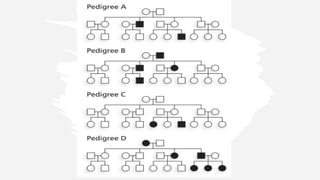 Comprehensive Overview of Genetic Disorders and Pedigree Analysis for ...