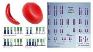 Comprehensive Overview of Genetic Disorders and Pedigree Analysis for ...
