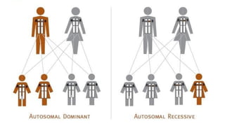 Comprehensive Overview of Genetic Disorders and Pedigree Analysis for ...