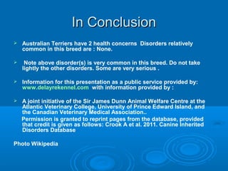 In Conclusion


Australian Terriers have 2 health concerns Disorders relatively
common in this breed are : None.



Note above disorder(s) is very common in this breed. Do not take
lightly the other disorders. Some are very serious .



Information for this presentation as a public service provided by:
www.delayrekennel.com with information provided by :



A joint initiative of the Sir James Dunn Animal Welfare Centre at the
Atlantic Veterinary College, University of Prince Edward Island, and
the Canadian Veterinary Medical Association..
Permission is granted to reprint pages from the database, provided
that credit is given as follows: Crook A et al. 2011. Canine Inherited
Disorders Database

Photo Wikipedia

 