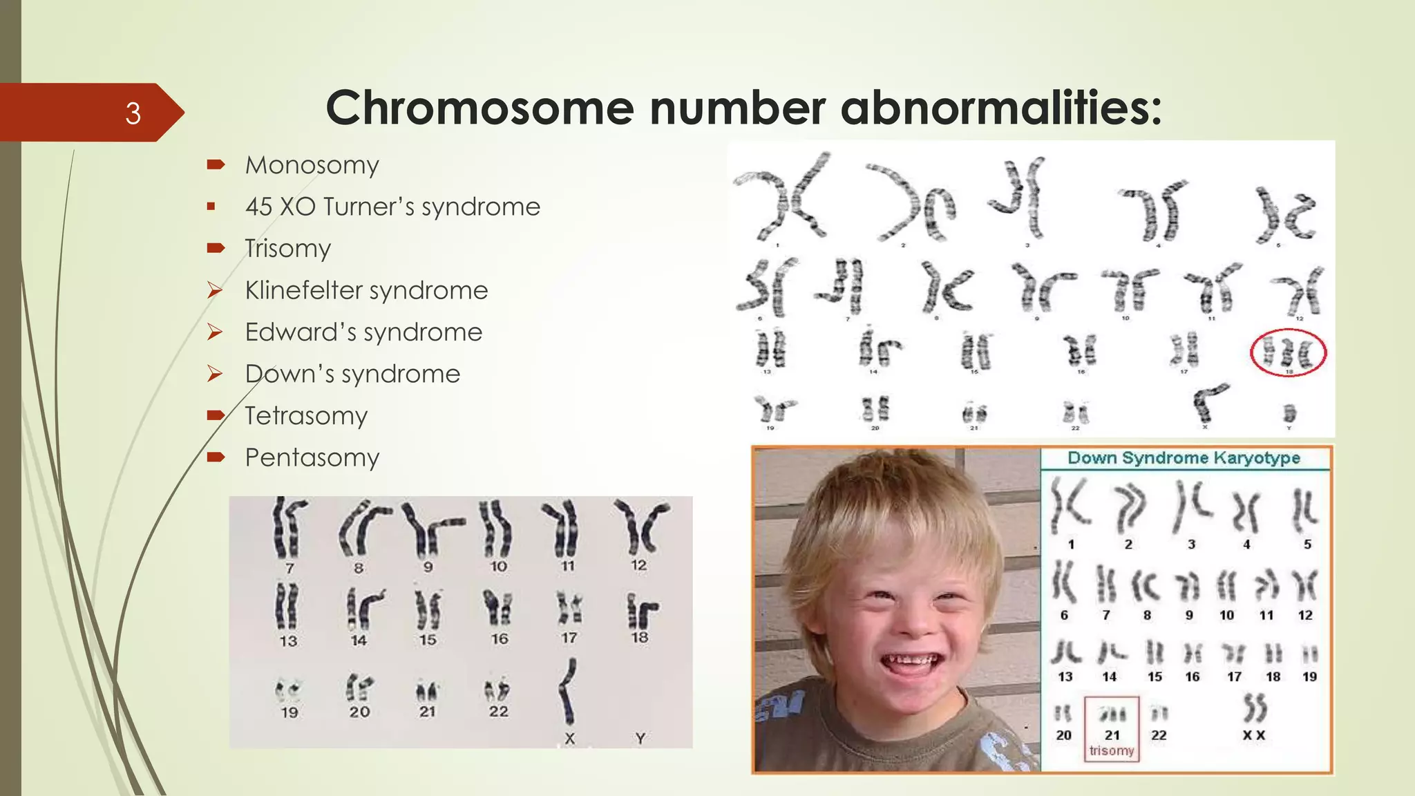 Image showcasing Genetic disorders during prenatal development | PPTX