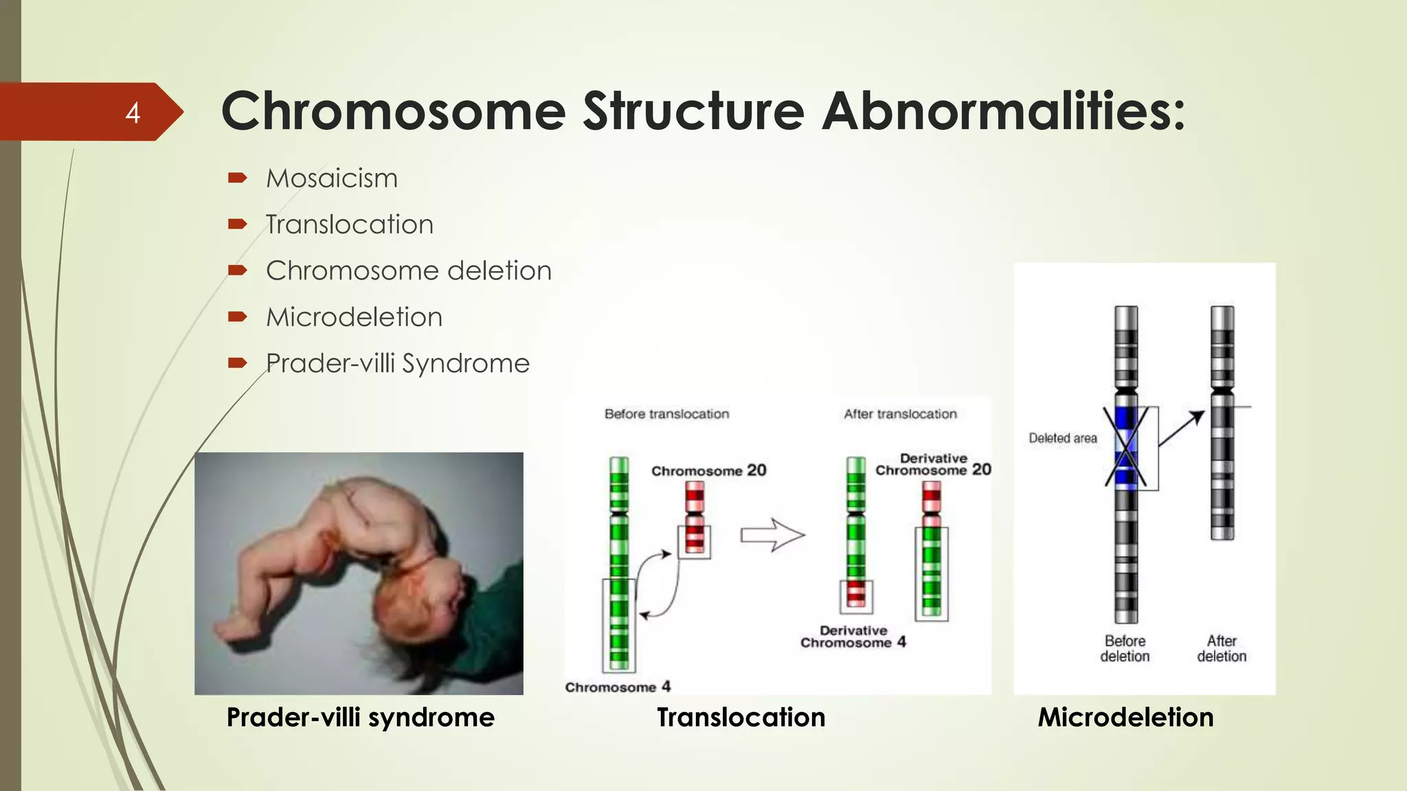 Picture of Genetic disorders during prenatal development | PPTX