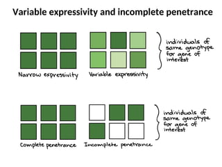 Comprehensive Overview of Genetic Disorders in Children: Inheritance ...