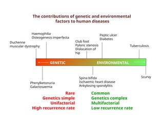 Genetic Dislocation Comprehensive Overview of Genetic Disorders in Children: Inheritance ...