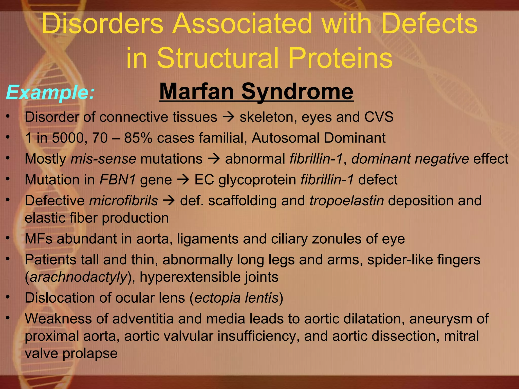 Disorders Associated with Defects in Structural Proteins Example:   Marfan Syndrome Disorder of connective tissues    skeleton, eyes and CVS 1 in 5000, 70 – 85% cases familial, Autosomal Dominant Mostly  mis-sense  mutations    abnormal  fibrillin-1 ,  dominant negative  effect Mutation in  FBN1  gene    EC glycoprotein  fibrillin-1  defect Defective  microfibrils     def. scaffolding and  tropoelastin  deposition and elastic fiber production MFs abundant in aorta, ligaments and ciliary zonules of eye Patients tall and thin, abnormally long legs and arms, spider-like fingers ( arachnodactyly ), hyperextensible joints Dislocation of ocular lens ( ectopia lentis ) Weakness of adventitia and media leads to aortic dilatation, aneurysm of proximal aorta, aortic valvular insufficiency, and aortic dissection, mitral valve prolapse 