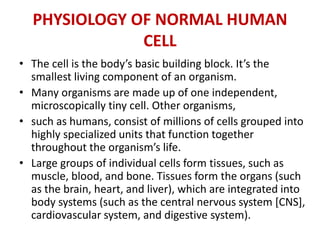 PHYSIOLOGY OF NORMAL HUMAN
CELL
• The cell is the body’s basic building block. It’s the
smallest living component of an organism.
• Many organisms are made up of one independent,
microscopically tiny cell. Other organisms,
• such as humans, consist of millions of cells grouped into
highly specialized units that function together
throughout the organism’s life.
• Large groups of individual cells form tissues, such as
muscle, blood, and bone. Tissues form the organs (such
as the brain, heart, and liver), which are integrated into
body systems (such as the central nervous system [CNS],
cardiovascular system, and digestive system).
 