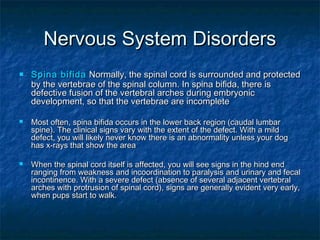 Nervous System Disorders
   Spina bifida Normally, the spinal cord is surrounded and protected
    by the vertebrae of the spinal column. In spina bifida, there is
    defective fusion of the vertebral arches during embryonic
    development, so that the vertebrae are incomplete

   Most often, spina bifida occurs in the lower back region (caudal lumbar
    spine). The clinical signs vary with the extent of the defect. With a mild
    defect, you will likely never know there is an abnormality unless your dog
    has x-rays that show the area

   When the spinal cord itself is affected, you will see signs in the hind end
    ranging from weakness and incoordination to paralysis and urinary and fecal
    incontinence. With a severe defect (absence of several adjacent vertebral
    arches with protrusion of spinal cord), signs are generally evident very early,
    when pups start to walk.
 