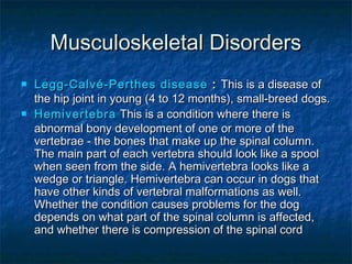 Musculoskeletal Disorders
   Legg-Calvé-Perthes disease : This is a disease of
    the hip joint in young (4 to 12 months), small-breed dogs.
   Hemivertebra This is a condition where there is
    abnormal bony development of one or more of the
    vertebrae - the bones that make up the spinal column.
    The main part of each vertebra should look like a spool
    when seen from the side. A hemivertebra looks like a
    wedge or triangle. Hemivertebra can occur in dogs that
    have other kinds of vertebral malformations as well.
    Whether the condition causes problems for the dog
    depends on what part of the spinal column is affected,
    and whether there is compression of the spinal cord
 
