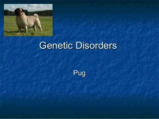 pug genetic disorders
