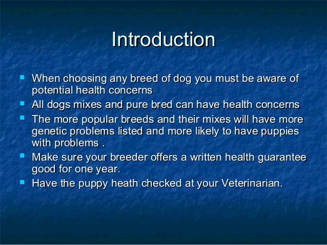 pug genetic problems genetic disorders pug pug genetic problems genetic disorders pug