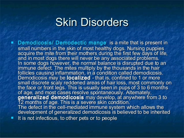 pug genetic problems genetic disorders pug pug genetic problems genetic disorders pug