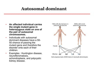 Autosomal dominant
• An affected individual carries
the single mutant gene in
heterozygous state on one of
the pair of autosomal
chromosomes.
• Individuals with autosomal
dominant diseases have a 50-
50 chance of passing the
mutant gene and therefore the
disorder onto each of their
children.
• Examples : Huntington disease,
neurofibromatosis,
achondroplasia, and polycystic
kidney disease.
 