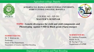Agriculture college, Bapatla
Department of Genetics and Plant Breeding
TOPIC: Genetic divergence for yield and yield components and
Phenotyping against YMD in Black gram (Vigna mungo)
SUBMITTED TO:
Dr. T. Srinivas sir,
Professor,
Head of the Department,
Department of Genetics and Plant Breeding
SUBMITTED BY:
K. Lakshmi Prasanna,
BAM-20-19,
M. Sc(Ag) 1st yr,
Department of GPBR
1
ACHARYA N.G. RANGAAGRICULTURAL UNIVERSITY,
AGRICULTURAL COLLEGE, BAPATLA
COURSE NO : GP-591
MASTER’S SEMINAR
 