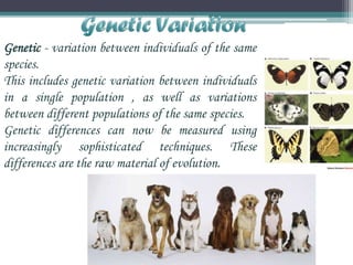 Genetic - variation between individuals of the same
species.
This includes genetic variation between individuals
in a single population , as well as variations
between different populations of the same species.
Genetic differences can now be measured using
increasingly sophisticated techniques. These
differences are the raw material of evolution.

 