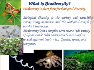 Biodiversity is short form for biological diversity.
Biological diversity is the variety and variability
among living organisms and the ecological complexes
in which they occur.
Biodiversity is in a simplest term means " the variety
of life on earth". This variety can be measured on
several different levels, viz., Genetic, species and
ecosystem.

 