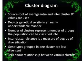 Cluster diagram
• Square root of average intra and inter cluster D²
values are used
• Depicts genetic diversity in an easily
understandable manner
• Number of clusters represent number of groups
the population can be classified into
• Inter cluster distance is a measure of degree of
diversification
• Genotypes grouped in one cluster are less
divergent
• Tells about relationship between various clusters
28
 