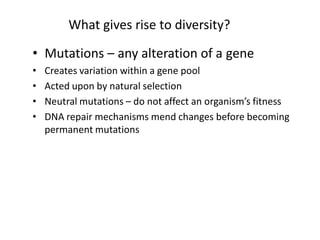 What gives rise to diversity?
• Mutations – any alteration of a gene
• Creates variation within a gene pool
• Acted upon by natural selection
• Neutral mutations – do not affect an organism’s fitness
• DNA repair mechanisms mend changes before becoming
permanent mutations
 