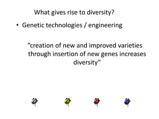 What gives rise to diversity?
• Genetic technologies / engineering
“creation of new and improved varieties
through insertion of new genes increases
diversity”
 