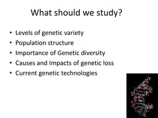 What should we study?
• Levels of genetic variety
• Population structure
• Importance of Genetic diversity
• Causes and Impacts of genetic loss
• Current genetic technologies
 