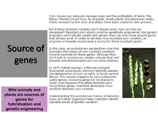 Source of
genes
Wild animals and
plants are sources of
genes for
hybridization and
genetic engineering
 
