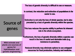 Source of
genes
The loss of genetic diversity is difficult to see or measure.
In contrast, the reduction and extinction of populations is far
easier to see.
Extinction is not only the loss of whole species, but is also
preceded by a loss of genetic diversity within the species.
This loss reduces the species ability to perform its inherent
role in the whole ecosystem.
Furthermore, the loss of genetic diversity within a species can
result in the loss of useful and desirable traits (e.g.
resistance to parasites).
Reduced diversity may eliminate options to use untapped
resources for food production, industry and medicine.
Wild animals and
plants are sources of
genes for
hybridization and
genetic engineering
 