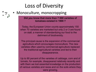 Loss of Diversity
• Monoculture, monocropping
Did you know that more than 7 000 varieties of
tomatoes existed in 1900 ?
Today, the European Union counts approximately 150
when 70 varieties are marketed but only 2 or 3 are found
on stall, a manner of standardizing our food to the
detriment of biodiversity.
The principal cause is the expansion of the commercial
agriculture which encourages monoculture. The new
varieties often used by commercial agriculture replaced
the traditional agricultural varieties and led to their
disappearance.
Up to 90 percent of the varieties of cabbage, corn and of
tomato, for example, disappeared relatively recently and
with them we lost essential knowledge on the production
of various varieties and races and on the soils where they
were growing.
 