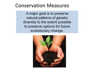 Conservation Measures
A major goal is to preserve
natural patterns of genetic
diversity to the extent possible
to preserve options for future
evolutionary change.
 