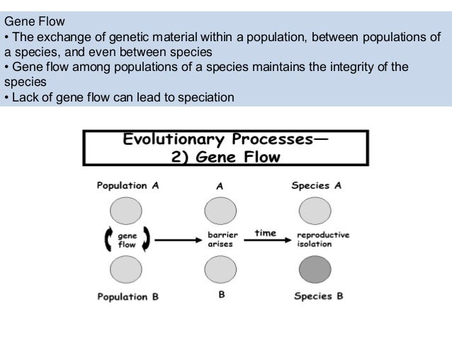 Conditions For Natural Selection Mechanism Conditions For Natural Selection Mechanism