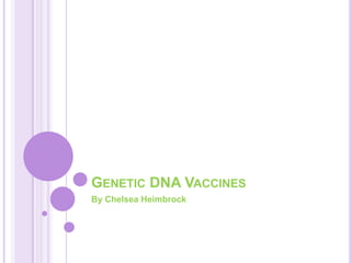GENETIC DNA VACCINES
By Chelsea Heimbrock
 