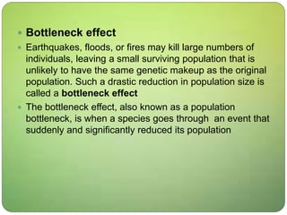  Bottleneck effect
 Earthquakes, floods, or fires may kill large numbers of
individuals, leaving a small surviving population that is
unlikely to have the same genetic makeup as the original
population. Such a drastic reduction in population size is
called a bottleneck effect
 The bottleneck effect, also known as a population
bottleneck, is when a species goes through an event that
suddenly and significantly reduced its population
 