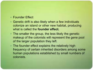  Founder Effect
 Genetic drift is also likely when a few individuals
colonize an island or other new habitat, producing
what is called the founder effect.
 The smaller the group, the less likely the genetic
makeup of the colonists will represent the gene pool
of the larger population they left.
 The founder effect explains the relatively high
frequency of certain inherited disorders among some
human populations established by small numbers of
colonists.
 