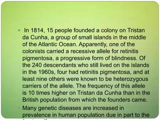 In 1814, 15 people founded a colony on Tristan
da Cunha, a group of small islands in the middle
of the Atlantic Ocean. Apparently, one of the
colonists carried a recessive allele for retinitis
pigmentosa, a progressive form of blindness. Of
the 240 descendants who still lived on the islands
in the 1960s, four had retinitis pigmentosa, and at
least nine others were known to be heterozygous
carriers of the allele. The frequency of this allele
is 10 times higher on Tristan da Cunha than in the
British population from which the founders came.
 Many genetic diseases are increased in
prevalence in human population due in part to the
 