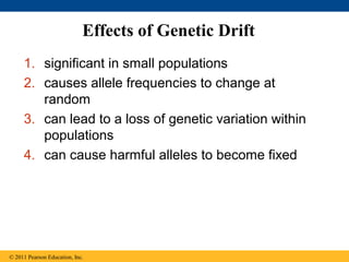 Effects of Genetic Drift
1. significant in small populations
2. causes allele frequencies to change at
random
3. can lead to a loss of genetic variation within
populations
4. can cause harmful alleles to become fixed
© 2011 Pearson Education, Inc.
 