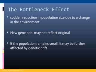 The Bottleneck Effect
 sudden reduction in population size due to a change
in the environment
 New gene pool may not reflect original
 If the population remains small, it may be further
affected by genetic drift
© 2011 Pearson Education, Inc.
 