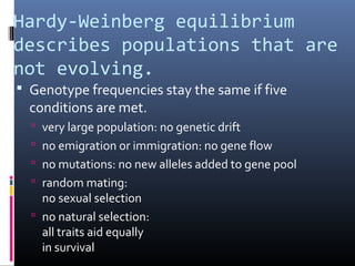 Hardy-Weinberg equilibrium
describes populations that are
not evolving.
 Genotype frequencies stay the same if five
conditions are met.
 very large population: no genetic drift
 no emigration or immigration: no gene flow
 no mutations: no new alleles added to gene pool
 random mating:
no sexual selection
 no natural selection:
all traits aid equally
in survival
 